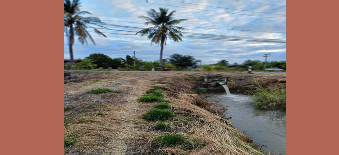 ที่ดิน ขาย ใกล้ตัวเมืองลพบุรี เหมาะลงทุนระยะยาว ที่ดินผืนใหญ่ราคาถูกลพบุรี ถูกกว่าใกล้เคียง ขายที่ดิน36ไร่