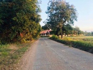 ที่ดิน ขาย ใกล้ทางหลวงหมายเลข24 น้ำประปาไฟฟ้าผ่านหน้าที่นา เข้าออกหมู่บ้านได้2เส้นทาง ใกล้ถนนโชคชัย-เดชอุดม ที่นา-ที่ดินราคาถูกนครราชสีมา