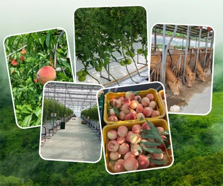 บริการ ประกาศ งานสวนประเทศเกาหลีใต้ งานสวนประเทศออสเตรเลีย จัดหางานต่างประเทศ รับสมัครงานต่างประเทศด่วน รายได้ดีมาก