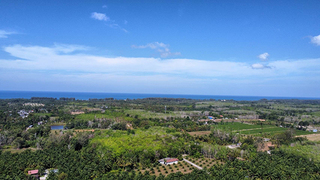 ขาย ที่ดิน เหมาะทำบ้านพักตากอากาศ ซื้อที่ดินโคกกลอยเจ้าของขายเอง ที่ดินเปล่าโคกกลอยโฉนดพร้อมโอน ใกล้สนามบินภูเก็ตใกล้ทะเล ขายที่ดินใกล้หาดนาใต้ไม่เกินล้าน