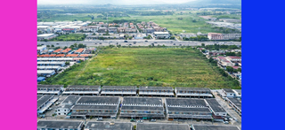 ขาย ที่ดิน ที่ดินชลบุรี30ไร่ ราคาถูกสุด ติดถนน344 ใกล้โลตัสบ้านบึง เหมาะทำหมู่บ้าน